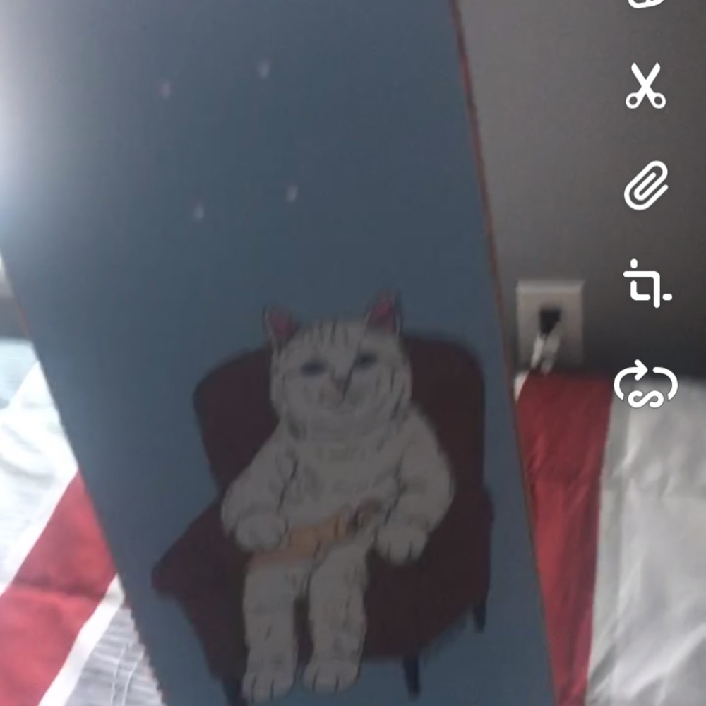 Ripndip skateboard 8.0